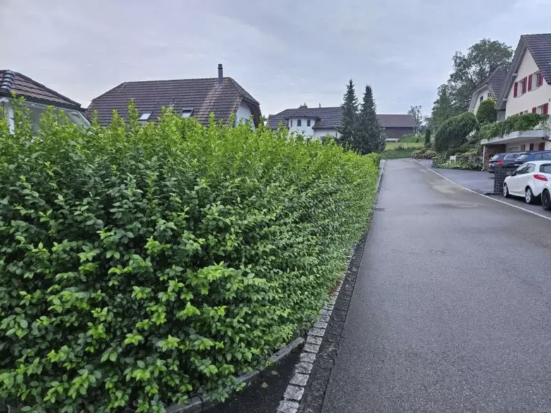 Gartenpflege & Hauswartung Marcel Kindler